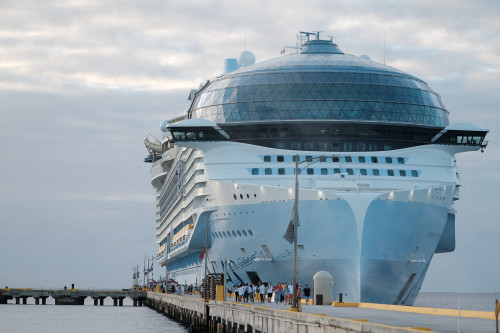 Royal Caribbean eyes strong 2025 profit on robust cruise demand